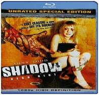 Shadow Dead Riot (2006) Dual Audio Hindi BluRay 480p 300MB