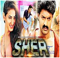 Sher (2017) Hindi Dubbed HDRip 720p