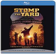 Stomp The Yard (2007) Dual Audio Hindi BluRay 480p 300MB