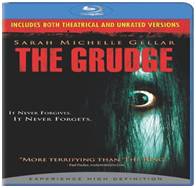The Grudge (2004) Dual Audio Hindi BluRay 480p 300MB